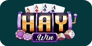 haywin logo